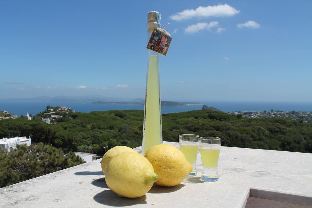 Villa La Favola Barano dʼIschia Exterior foto